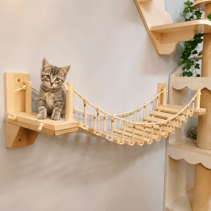 chaton sur un pont mural pour chat en bois naturel