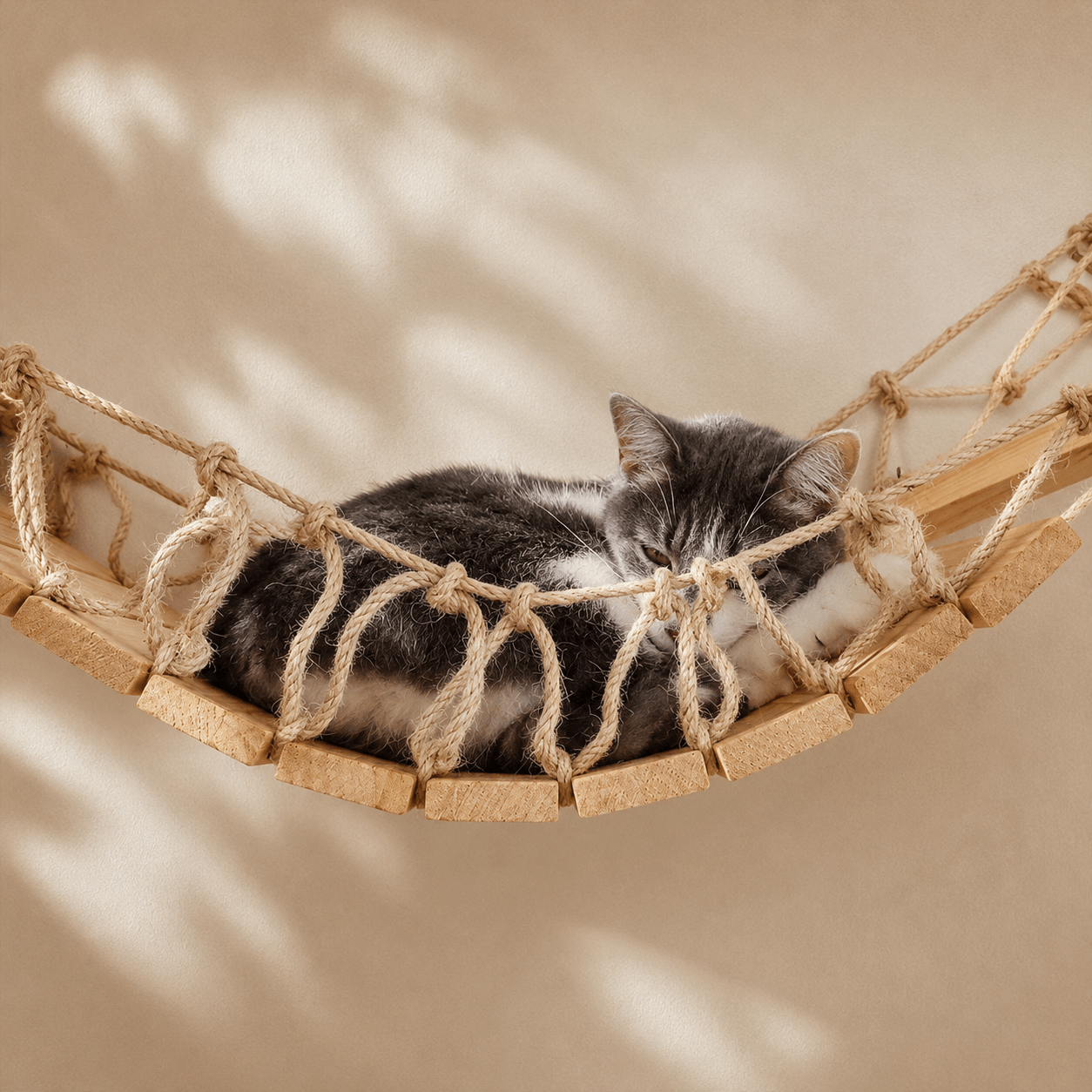 chat reposant dans un pont mural suspendu en bois naturel