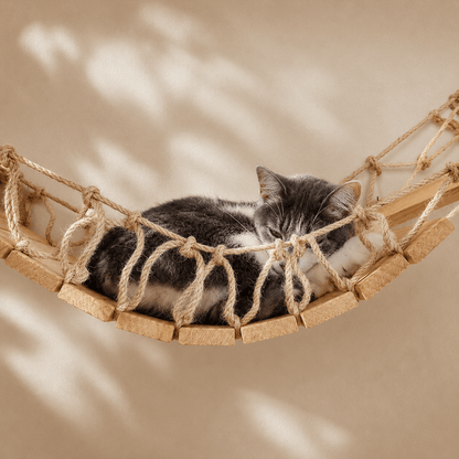 chat reposant dans un pont mural suspendu en bois naturel
