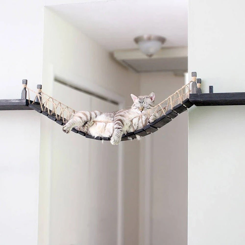 arbre à chat design installé entre deux murs minou endormi dedans