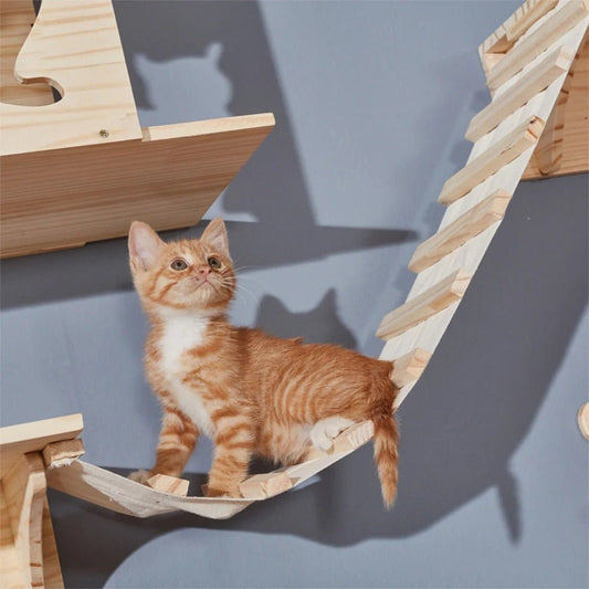 ARBRE À CHAT DESIGN - PONT TOP PLATEFORME - Passion Murale