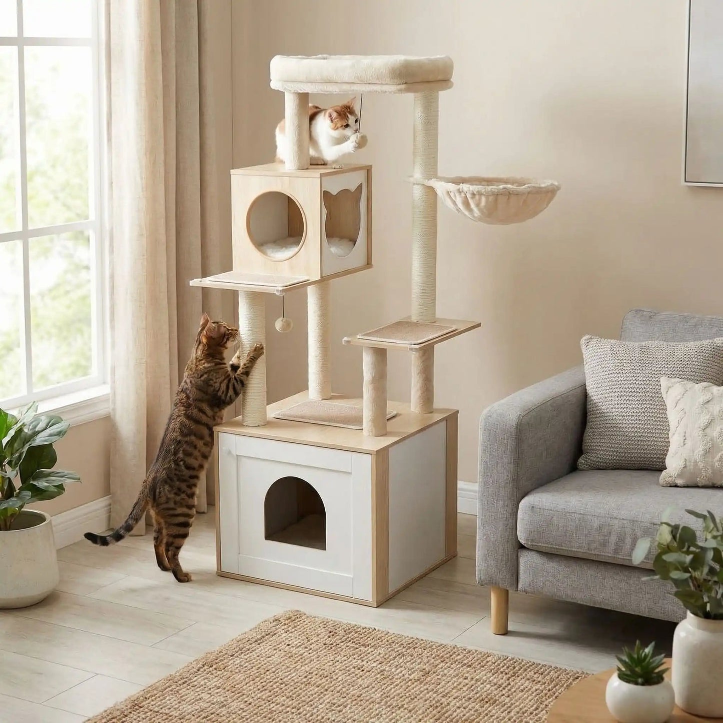 arbre à chat en bois chat sur griffoir