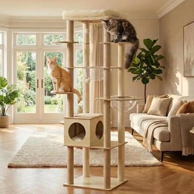 arbre a chat en bois dans salon moderne