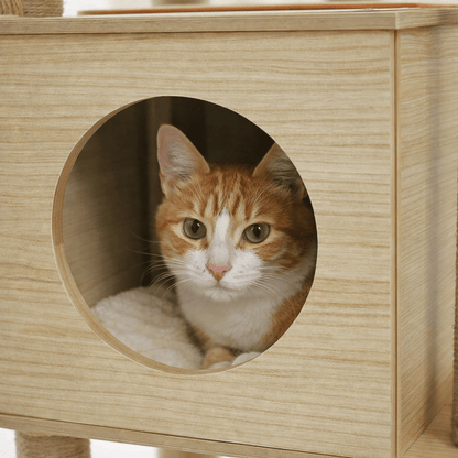 arbre a chat en bois niche fermée chat