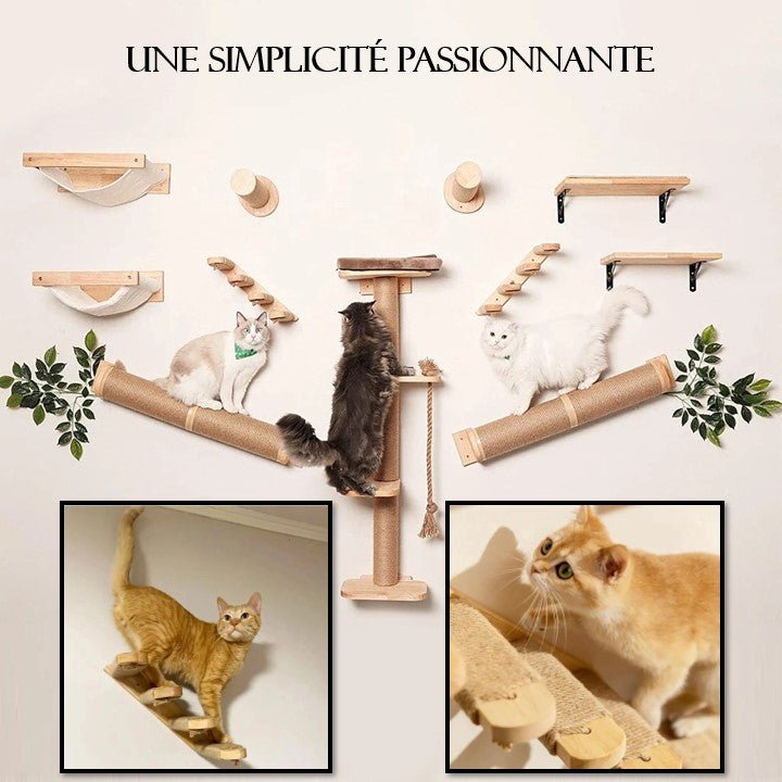 Arbre à chat en bois - GrimpeFélin - Passion Murale