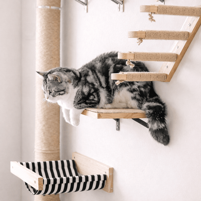 arbre à chat en bois parcours mural pour chat
