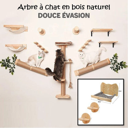 Arbre à chat en bois naturel - Douce Évasion - Passion Murale
