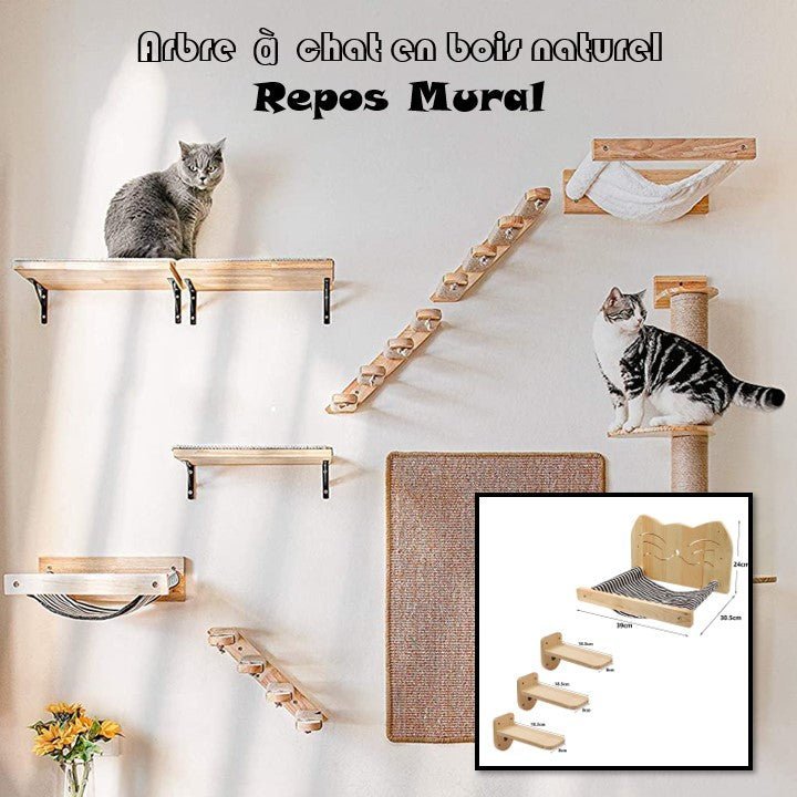 Arbre à chat en bois naturel - Repos Mural - Passion Murale