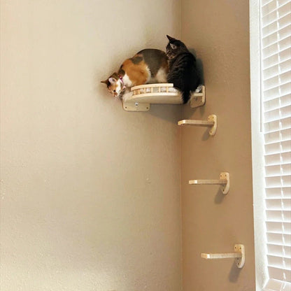 arbre à chat en bois solide supportant plusieurs chats en même temps