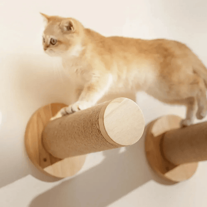 arbre à chat mural escalade chat roux perchoirs muraux