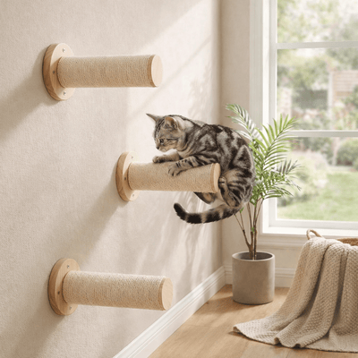 arbre à chat mural chat gris perchoirs bois