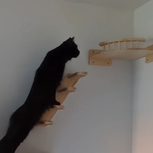 chat noir grimpe sur arbre a chat mural bois MajestiPerch