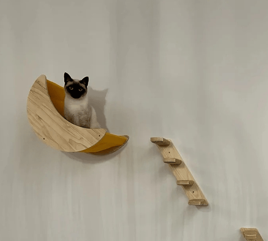 chat repose dans niche de l'arbre a chat mural bois NaturalFeline