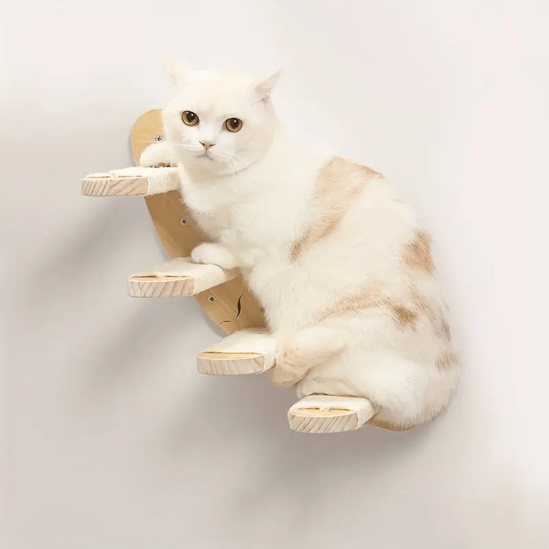chat beige dessus escalier mural