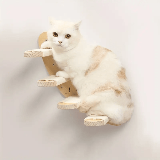 chat beige dessus escalier mural