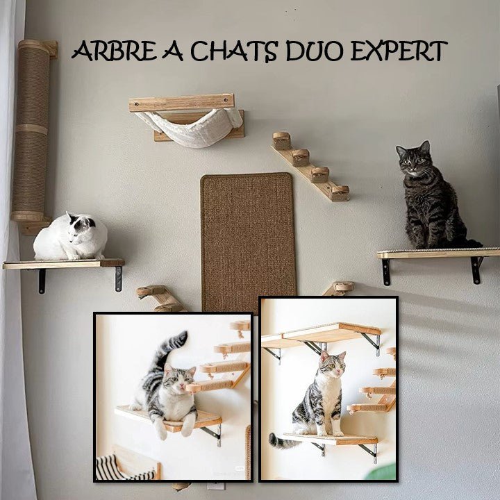 ARBRE À CHAT MURAL - DUO EXPERT - Passion Murale