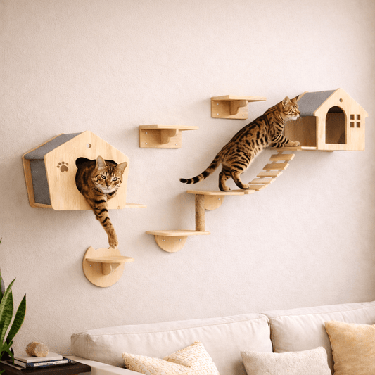 arbre à chat mural bois maison chat escalier mural design naturel