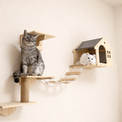 arbre à chat mural bois maison pont escalier chat