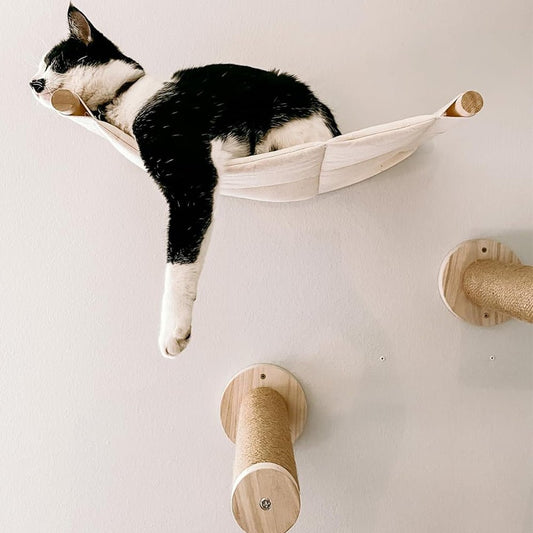 minou confortablement installé dans arbre à chat mural MiaouMac