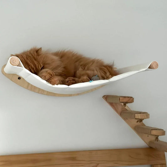 gros matou marron endormis dans arbre à chat mural VerticalFélin