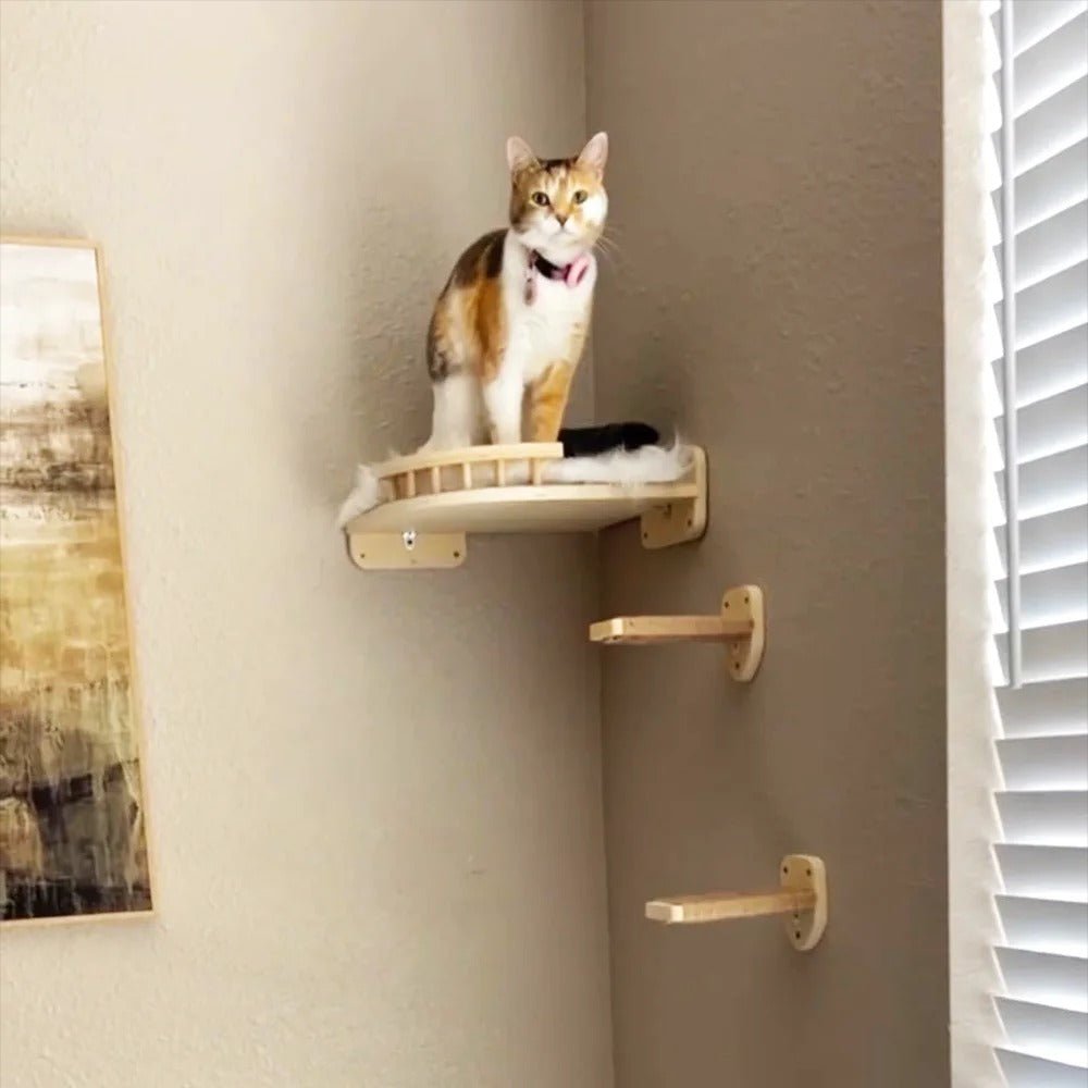 belle chatte espagne assis dans arbre a chat murale CompactPerch