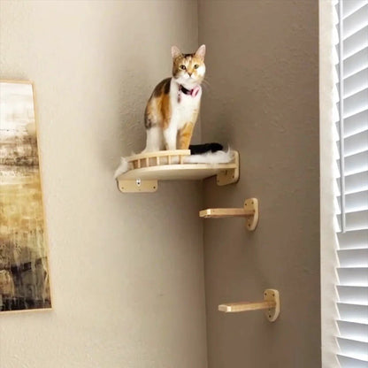 belle chatte espagne assis dans arbre a chat murale CompactPerch