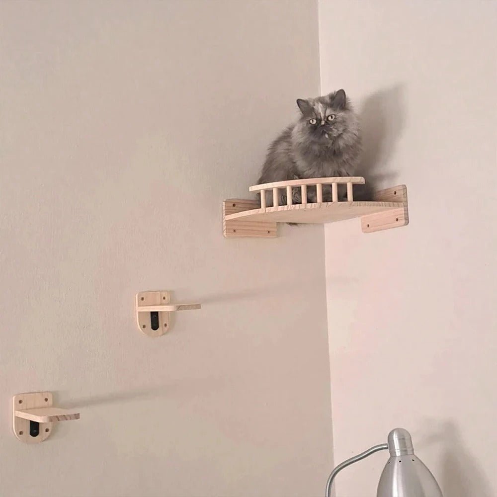 gros minou gris observe territoire assis dans arbre a chat murale CompactPerch