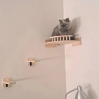 gros minou gris observe territoire assis dans arbre a chat murale CompactPerch