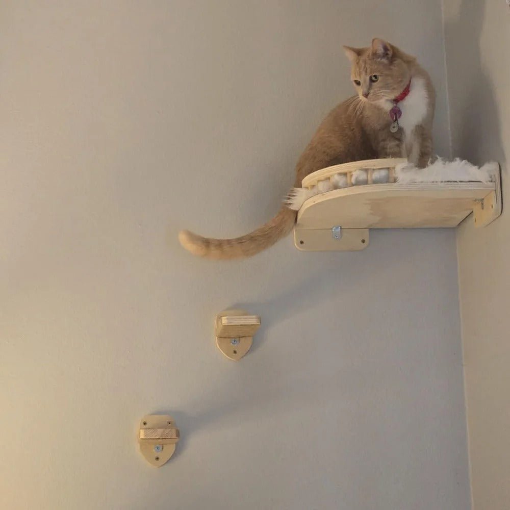 Belle minette ronronne de bonheur dans arbre a chat murale CompactPerch