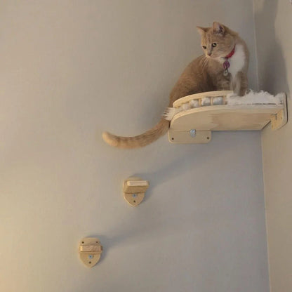 Belle minette ronronne de bonheur dans arbre a chat murale CompactPerch