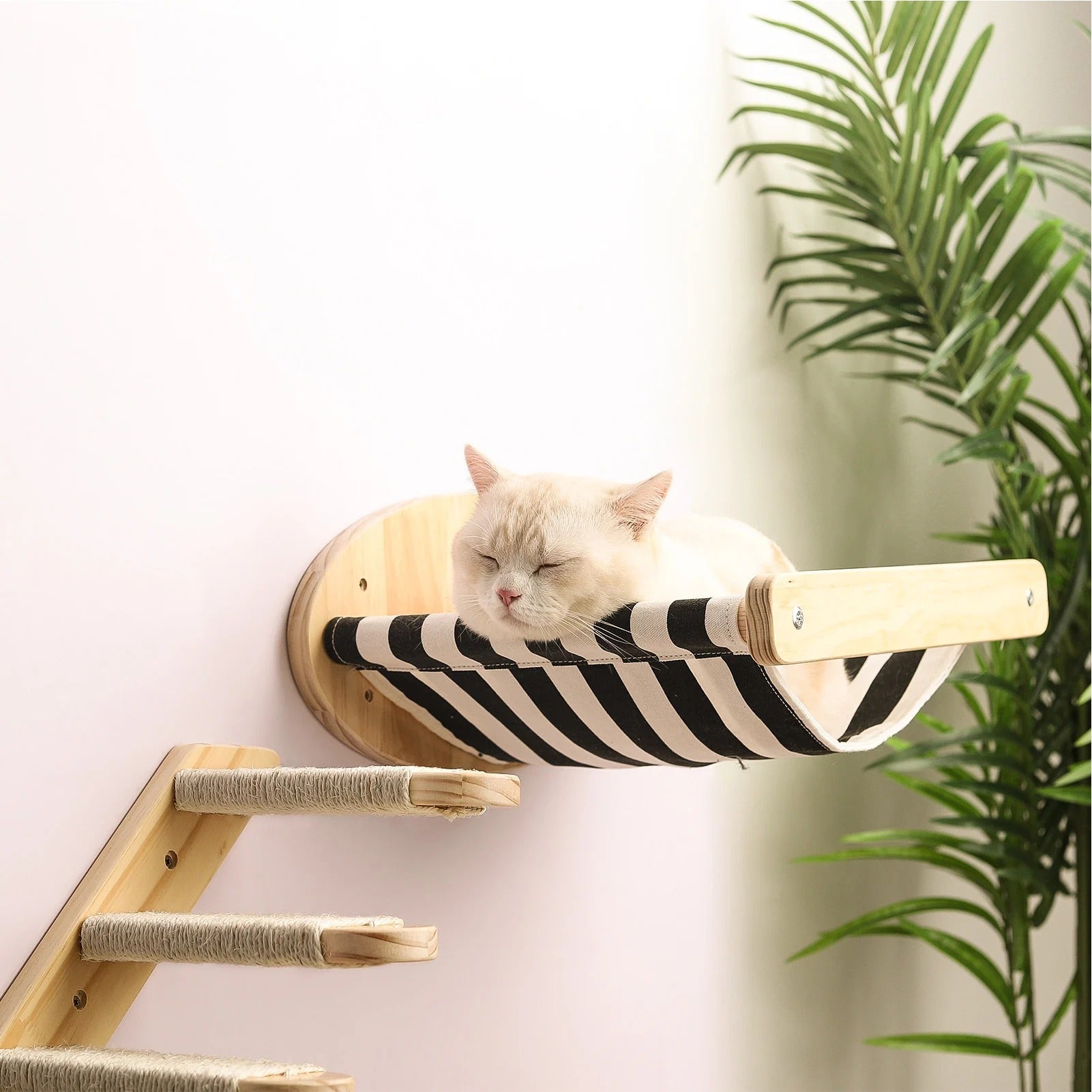 chat dort dans hamac arbre a chat murale bois
