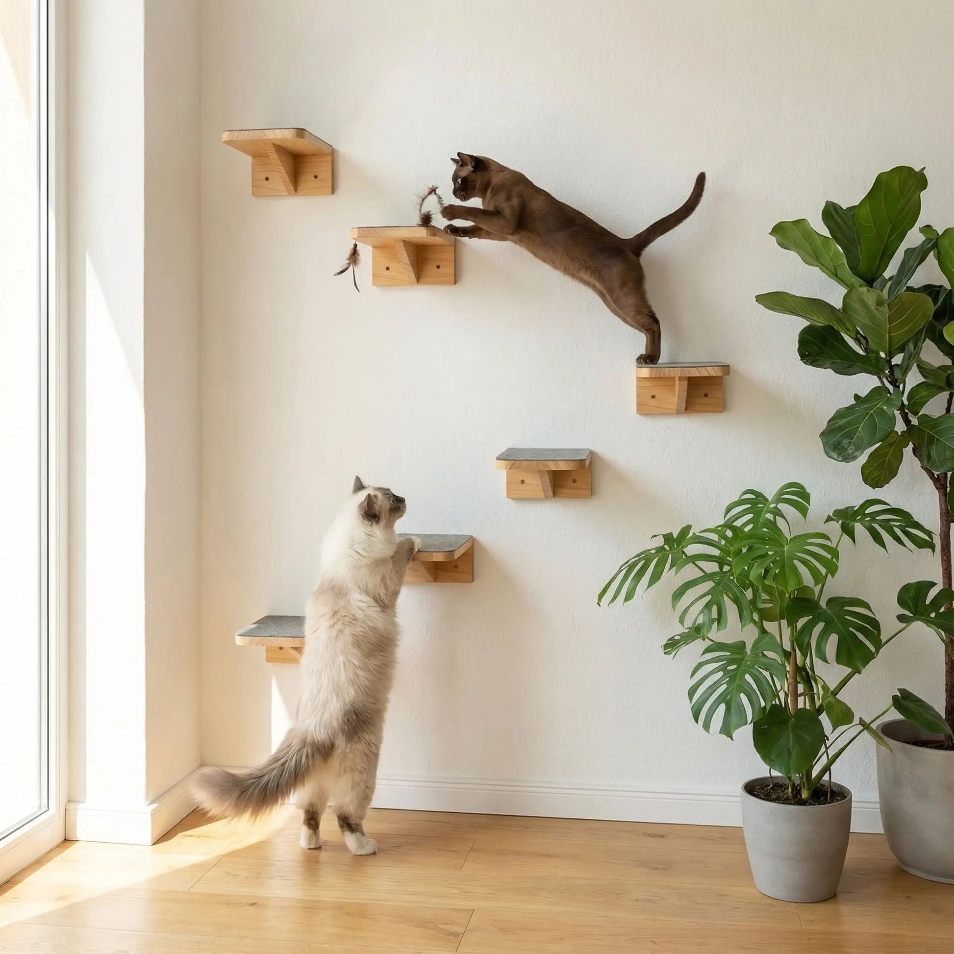 arbre a chat murale parcours escalade chat