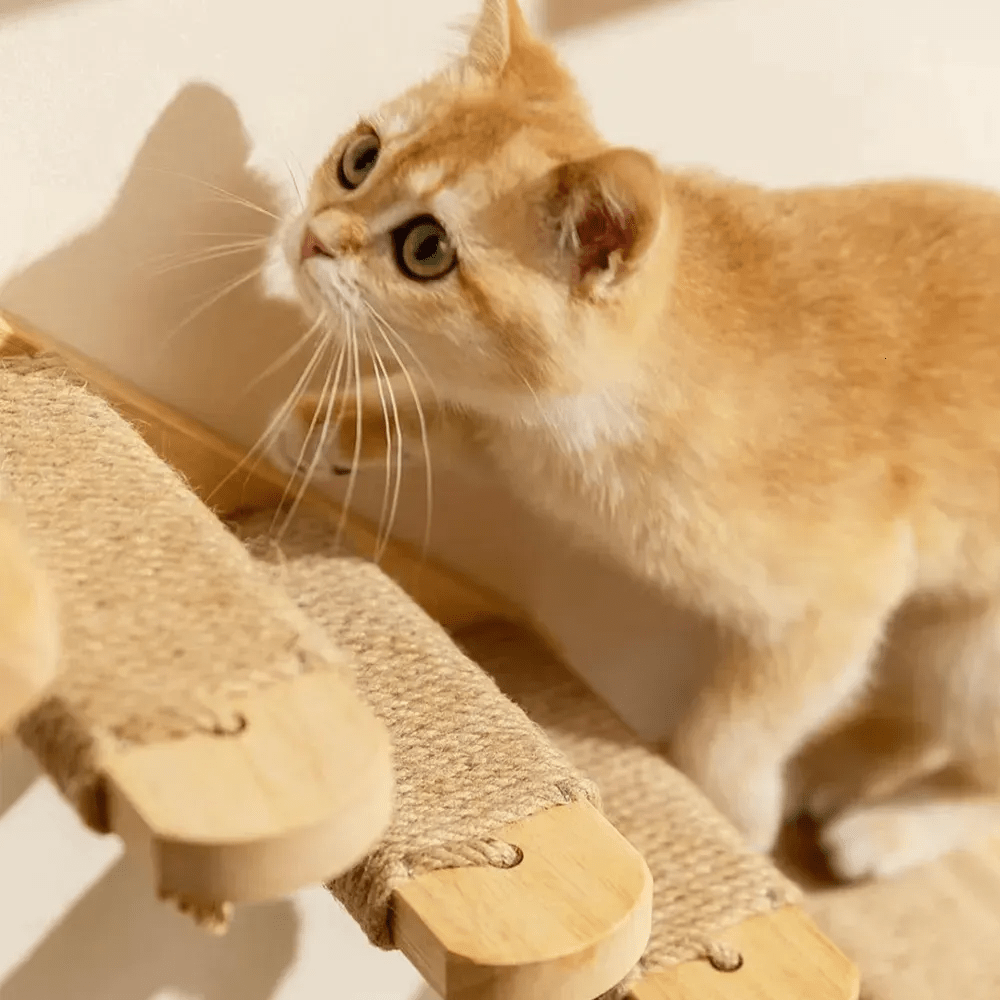 arbre à chat murale escalier sisal détail matériaux bois