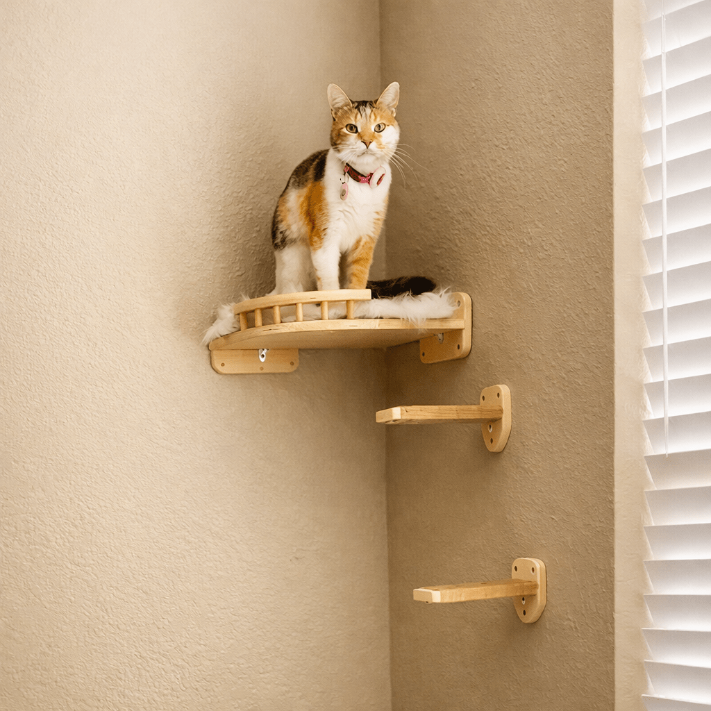 arbre a chat murale angle bois massif chat tricolore