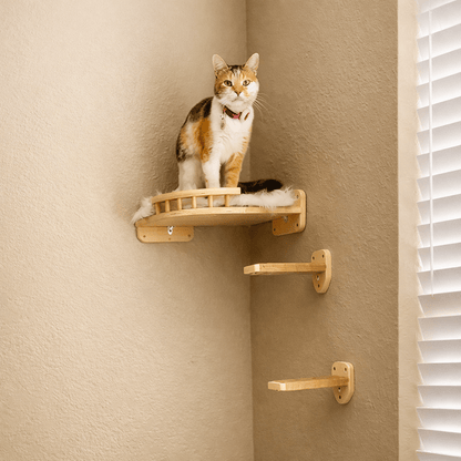 arbre a chat murale angle bois massif chat tricolore