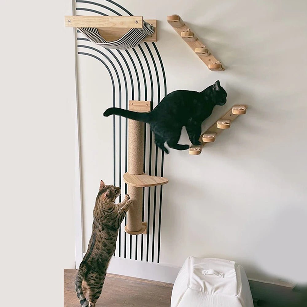 deux chats jouent dans parcours avec arbre a chat murale grimpefélin