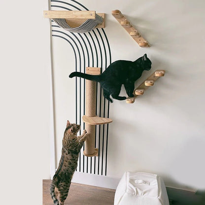 deux chats jouent dans parcours avec arbre a chat murale grimpefélin