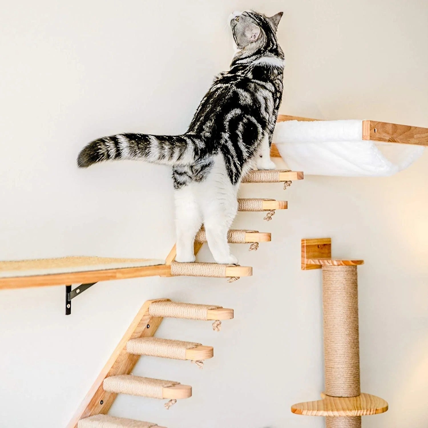 chat promène dessus arbre a chat murale GrimpeFélin