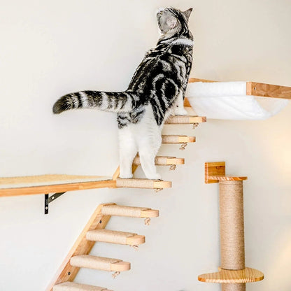 chat promène dessus arbre a chat murale GrimpeFélin