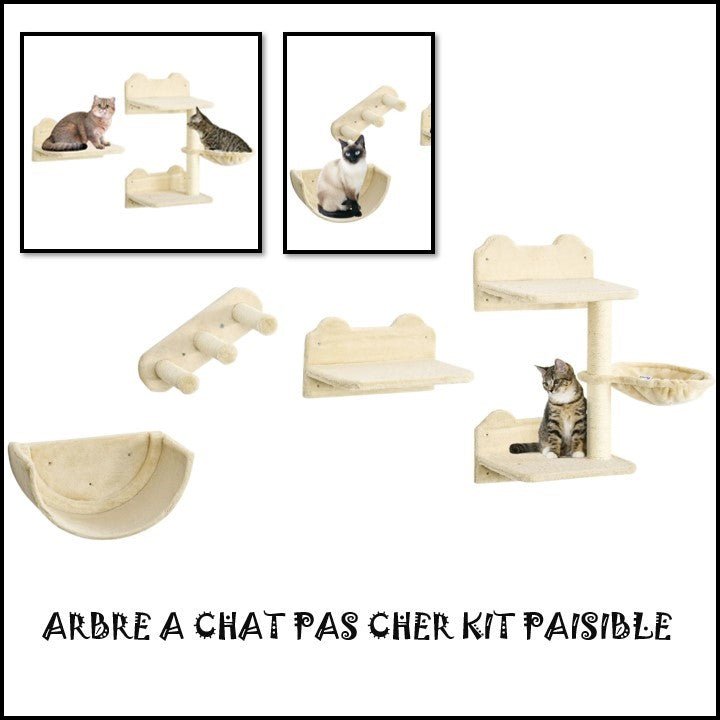 ARBRE À CHAT PAS CHER - KIT PAISIBLE - Passion Murale