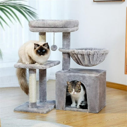 deux minous installés dans arbre a chat petit Compact