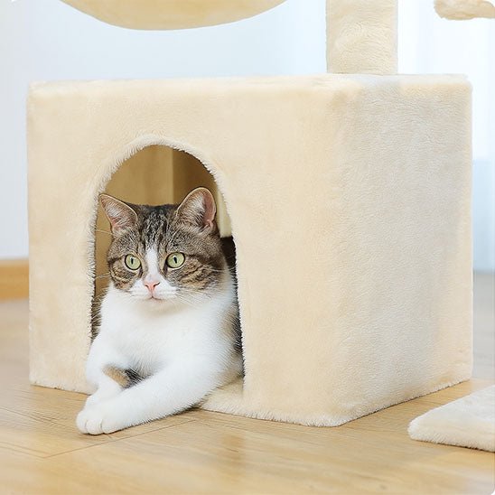 chat couché dans niche de l'arbre a chat petit Compact