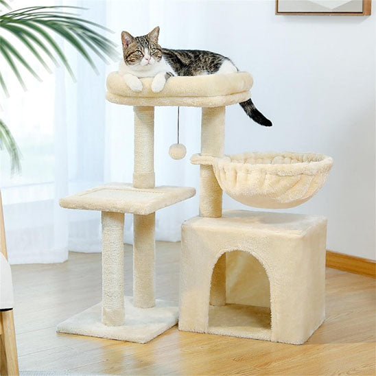 chat installé en hauteur sur l'arbre a chat petit Compact