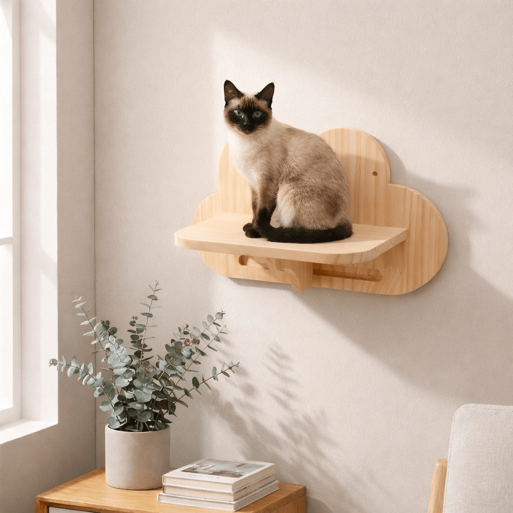 arbre à chat petit étagère nuage bois chat mural