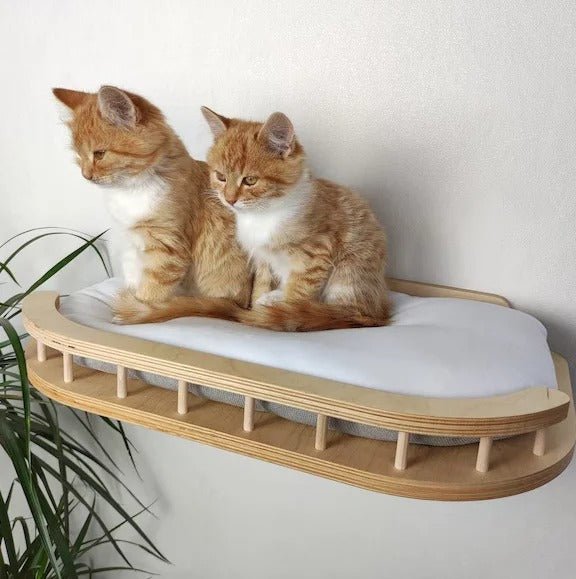 chatons reposent dans lit confortable de l'arbre chat mural Lounge Félin