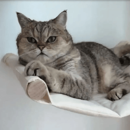 chat couché dessus hamac blanc de l'arbre chat mural Verticalflex