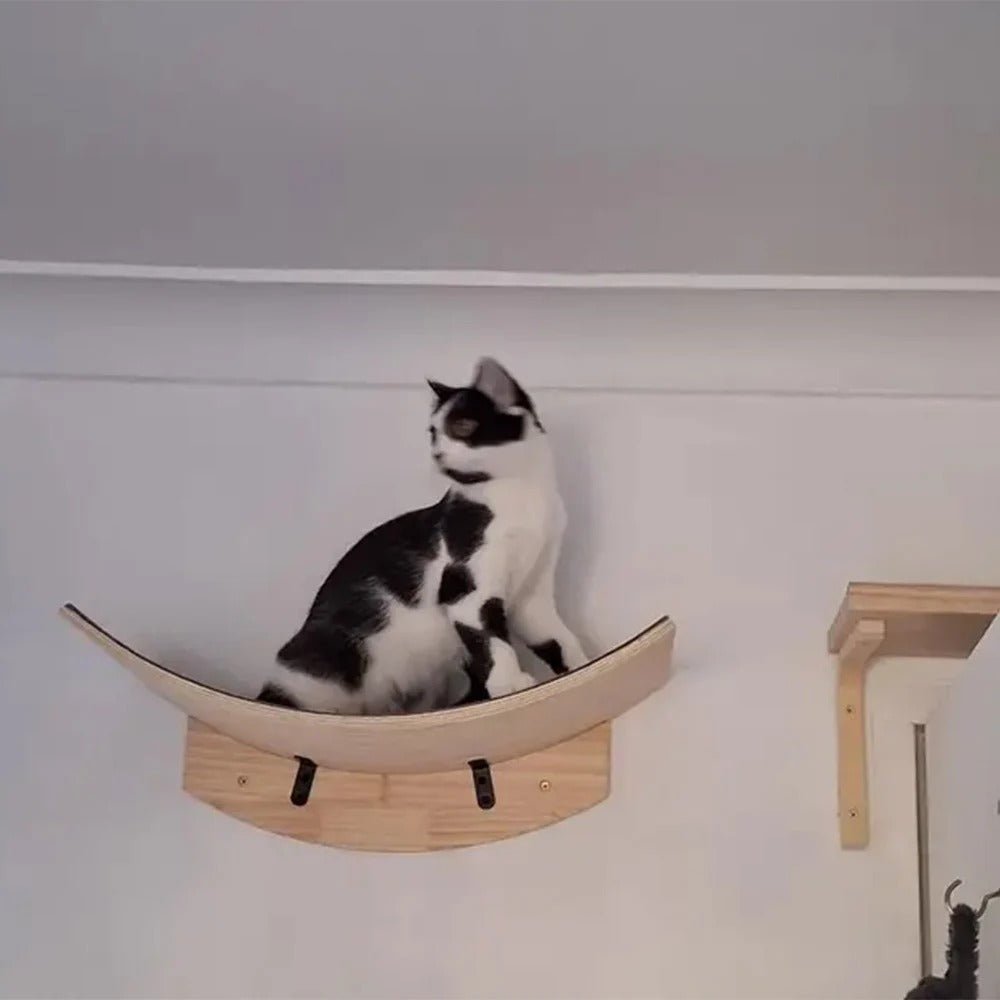 chaton noir blanc assis dessus hamac bois mural