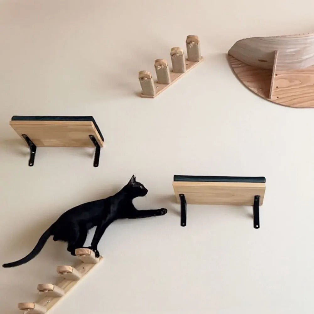 chat grimpe dans arbres a chat mural ModulChat