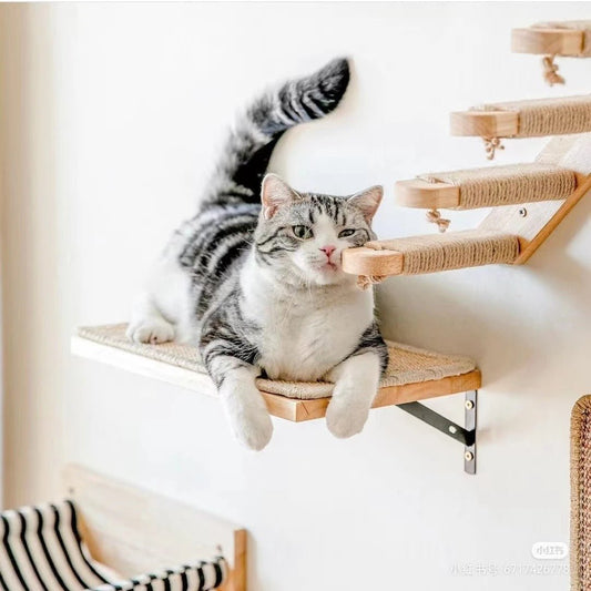 chat heureux installé dans arbres a chat mural ModulChat