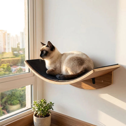 arbres à chat hamac mural pour chat en bois près d'une fenêtre